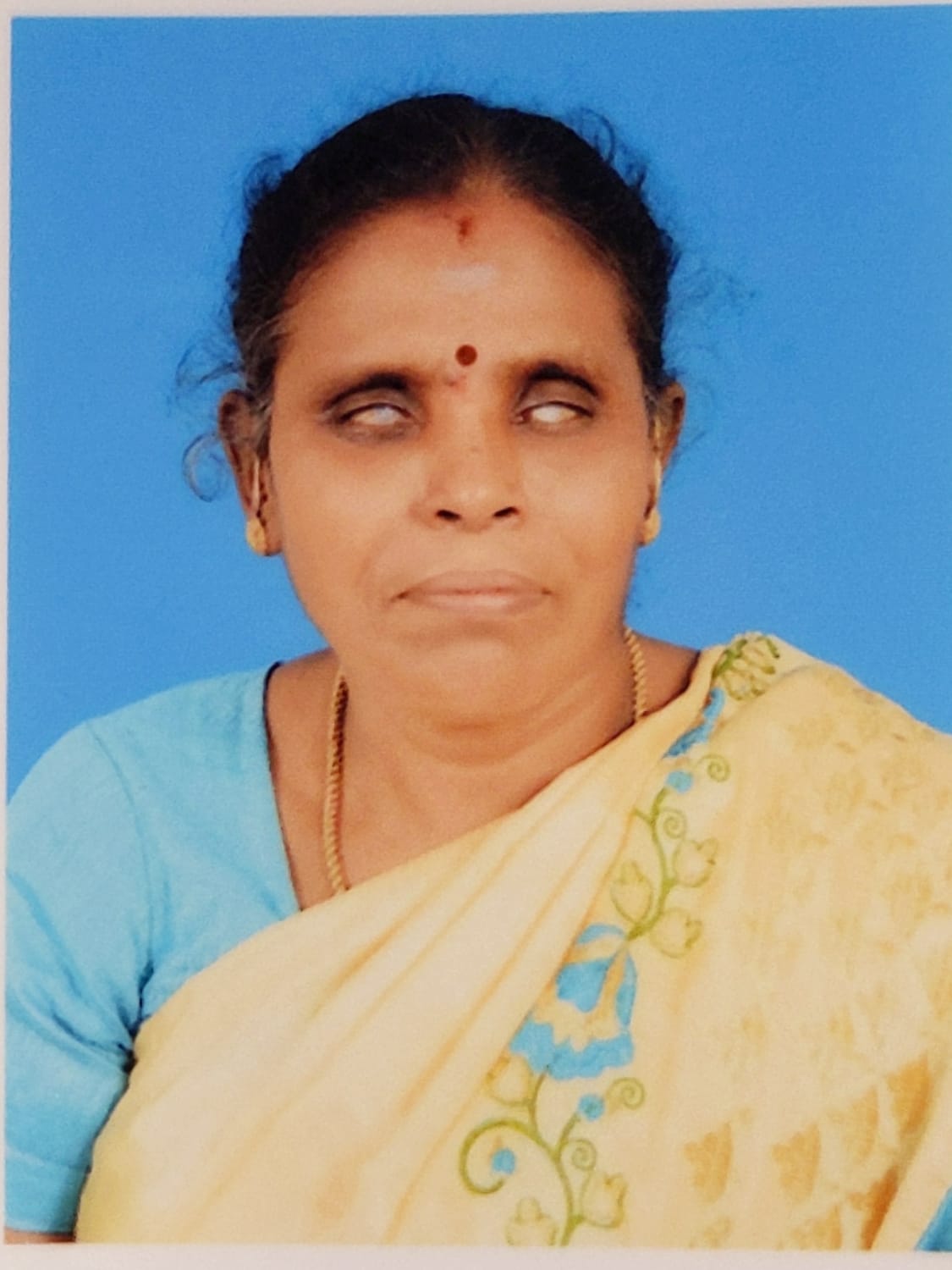 Faculty Photo